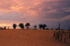 woestijn in Mauretani